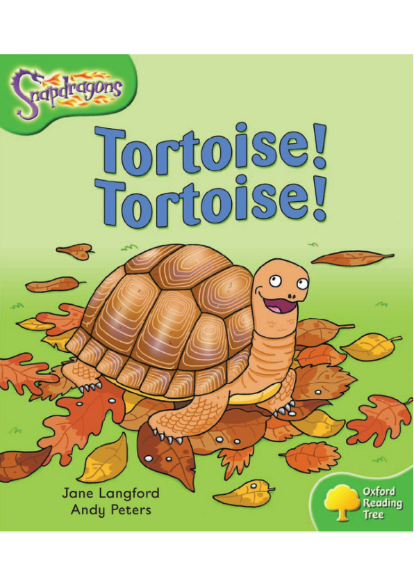 063. Tortoise_Tortoise